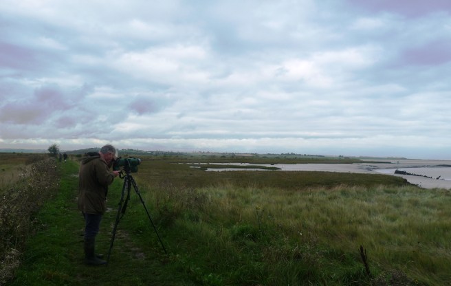 Kevin Duvall at Oare Marshes crop bright