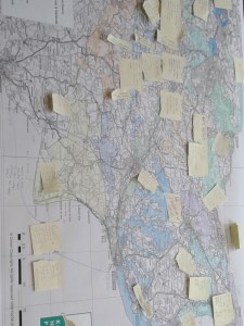 It was good to end the week on a positive note – this is just one of the maps that we covered at a Kent Nature Partnership meeting with notes of projects happening right now to restore and create new habitats for wildlife.
