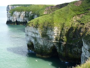Flamborough Cliffs Nature Reserve, Yorkshire Wildlife Trust