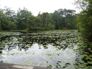 e reservoir at Bystock